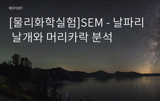 [물리화학실험]SEM - 날파리 날개와 머리카락 분석