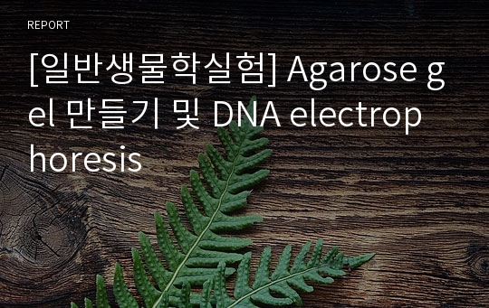 [일반생물학실험] Agarose gel 만들기 및 DNA electrophoresis