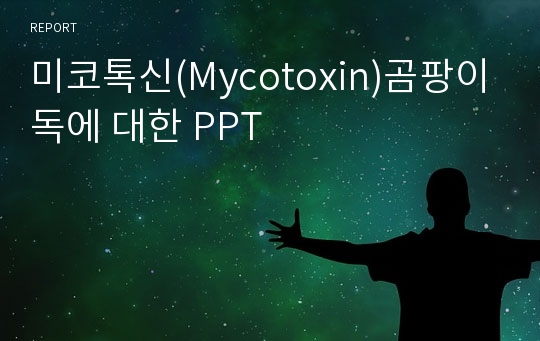 미코톡신(Mycotoxin)곰팡이독에 대한 PPT