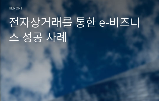 전자상거래를 통한 e-비즈니스 성공 사례