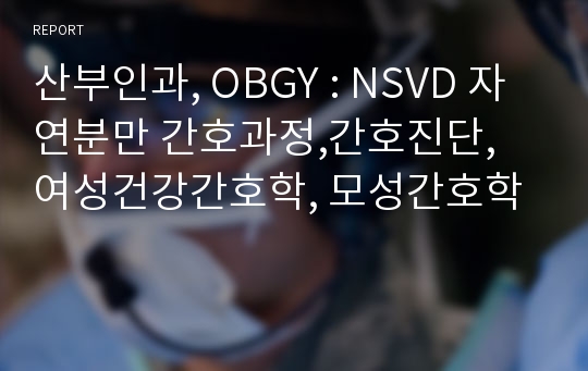 산부인과, OBGY : NSVD 자연분만 간호과정,간호진단, 여성건강간호학, 모성간호학