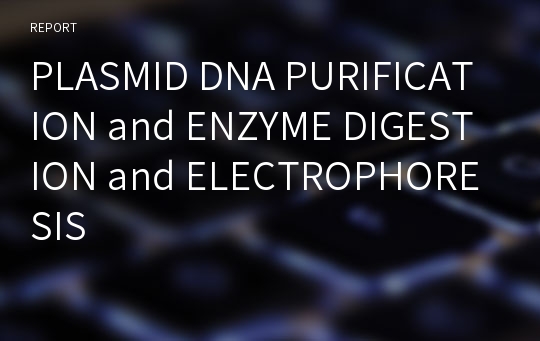 PLASMID DNA PURIFICATION and ENZYME DIGESTION and ELECTROPHORESIS