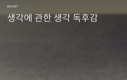 생각에 관한 생각 독후감