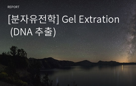 [분자유전학] Gel Extration (DNA 추출)