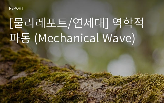 [물리레포트/연세대] 역학적 파동 (Mechanical Wave)