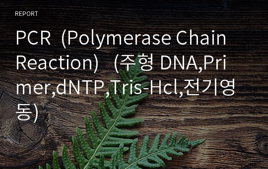 PCR  (Polymerase Chain Reaction)   (주형 DNA,Primer,dNTP,Tris-Hcl,전기영동)