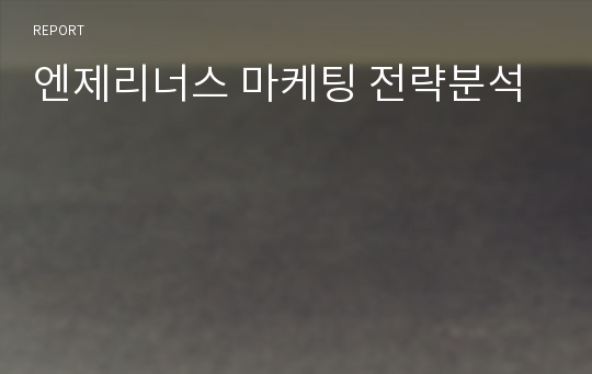 엔제리너스 마케팅 전략분석