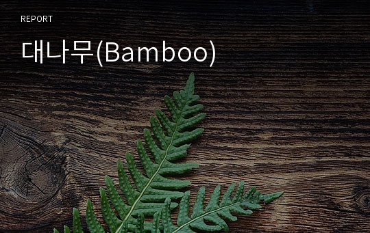 대나무(Bamboo)