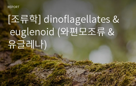 [조류학] dinoflagellates &amp; euglenoid (와편모조류 &amp; 유글레나)