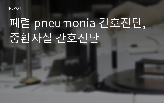 폐렴 pneumonia 간호진단, 중환자실 간호진단