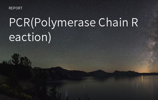 PCR(Polymerase Chain Reaction)