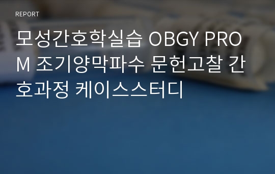 모성간호학실습 OBGY PROM 조기양막파수 문헌고찰 간호과정 케이스스터디