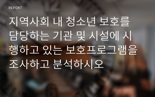 지역사회 내 청소년 보호를 담당하는 기관 및 시설에 시행하고 있는 보호프로그램을 조사하고 분석하시오