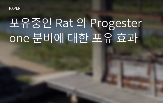 포유중인 Rat 의 Progesterone 분비에 대한 포유 효과