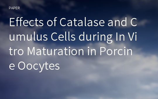 Effects of Catalase and Cumulus Cells during In Vitro Maturation in Porcine Oocytes