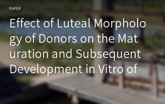 Effect of Luteal Morphology of Donors on the Maturation and Subsequent Development in Vitro of Bovine Immature Oocytes
