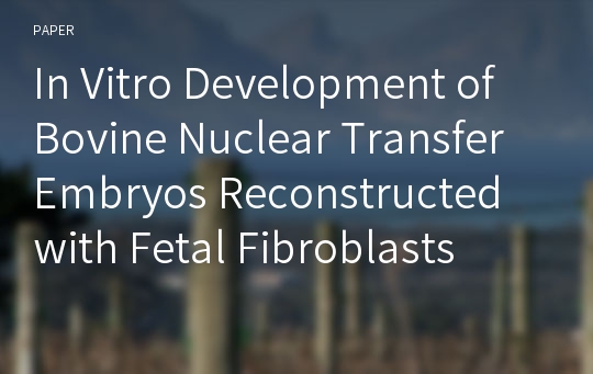 In Vitro Development of Bovine Nuclear Transfer Embryos Reconstructed with Fetal Fibroblasts
