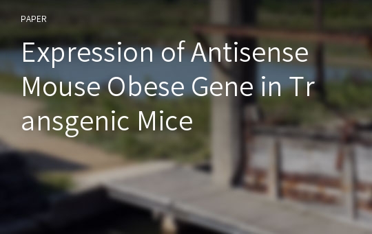 Expression of Antisense Mouse Obese Gene in Transgenic Mice