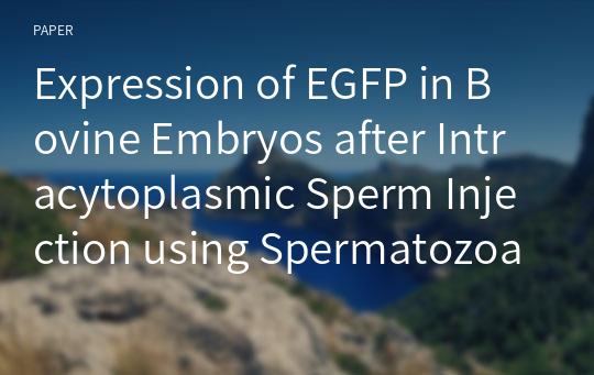 Expression of EGFP in Bovine Embryos after Intracytoplasmic Sperm Injection using Spermatozoa Co-cultured with Exogenous DNA