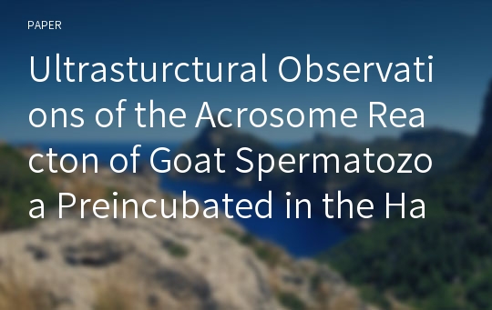 Ultrasturctural Observations of the Acrosome Reacton of Goat Spermatozoa Preincubated in the Hamster Uterus