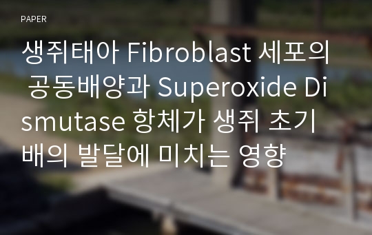 생쥐태아 Fibroblast 세포의 공동배양과 Superoxide Dismutase 항체가 생쥐 초기배의 발달에 미치는 영향