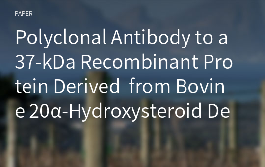 Polyclonal Antibody to a 37-kDa Recombinant Protein Derived  from Bovine 20α-Hydroxysteroid Dehydrogenase