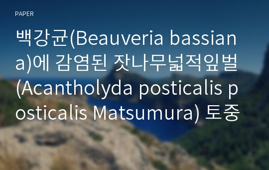 백강균(Beauveria bassiana)에 감염된 잣나무넓적잎벌 (Acantholyda posticalis posticalis Matsumura) 토중 유층의 병징