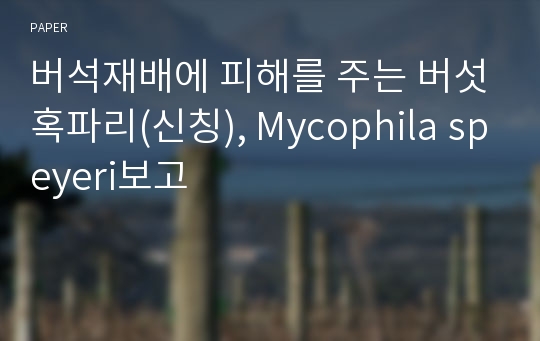 버석재배에 피해를 주는 버섯혹파리(신칭), Mycophila speyeri보고