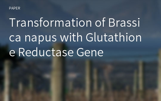 Transformation of Brassica napus with Glutathione Reductase Gene