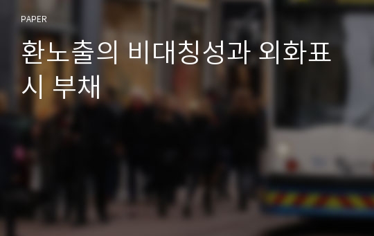 환노출의 비대칭성과 외화표시 부채