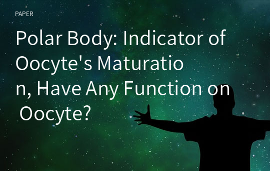 Polar Body: Indicator of Oocyte&#039;s Maturation, Have Any Function on Oocyte?