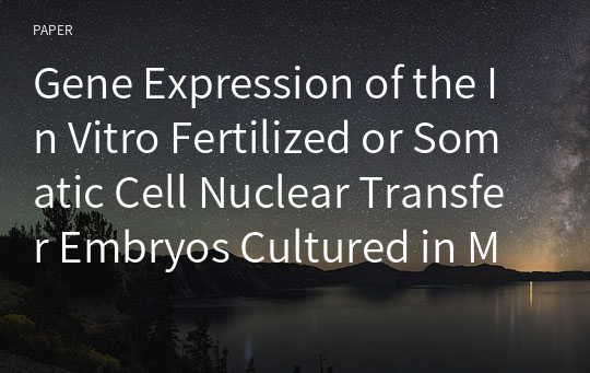 Gene Expression of the In Vitro Fertilized or Somatic Cell Nuclear Transfer Embryos Cultured in Medium Supplemented with Different Proteins or Energy Substrates