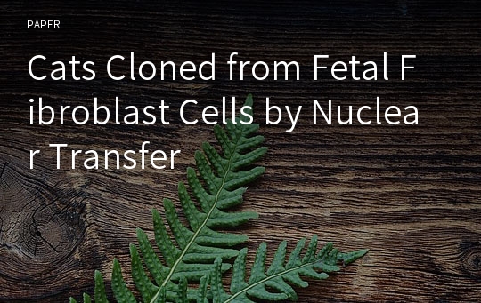 Cats Cloned from Fetal Fibroblast Cells by Nuclear Transfer