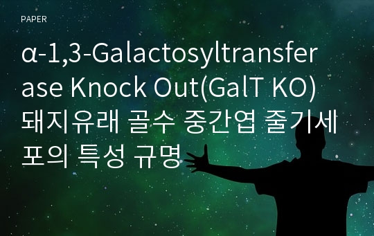 α-1,3-Galactosyltransferase Knock Out(GalT KO) 돼지유래 골수 중간엽 줄기세포의 특성 규명