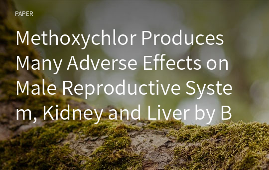 Methoxychlor Produces Many Adverse Effects on Male Reproductive System, Kidney and Liver by Binding to Oestrogen Receptors