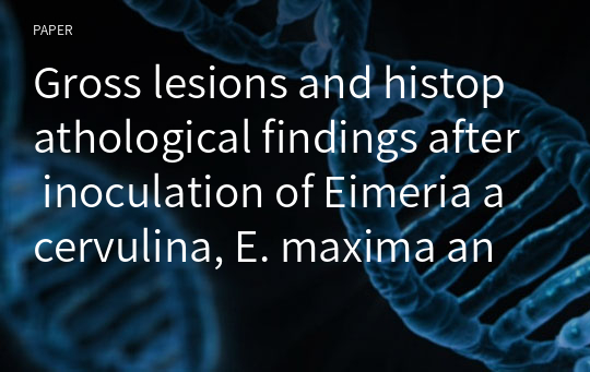 Gross lesions and histopathological findings after inoculation of Eimeria acervulina, E. maxima and E. tenella in broiler chicks