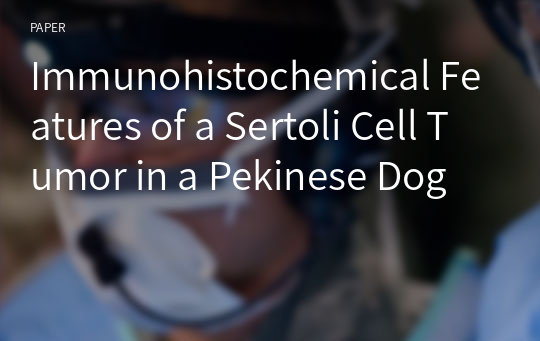 Immunohistochemical Features of a Sertoli Cell Tumor in a Pekinese Dog