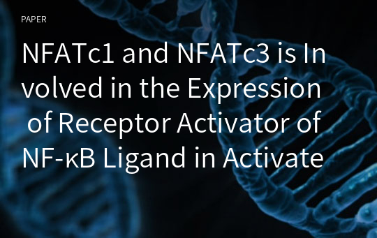 NFATc1 and NFATc3 is Involved in the Expression of Receptor Activator of NF-κB Ligand in Activated T Lymphocytes