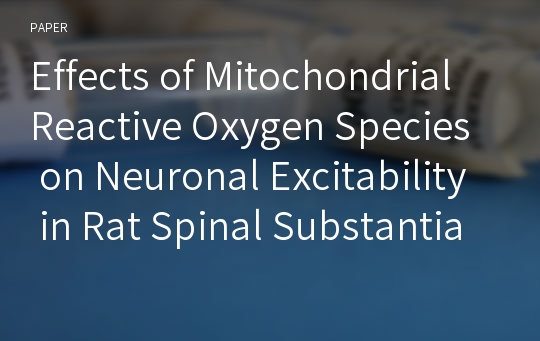 Effects of Mitochondrial Reactive Oxygen Species on Neuronal Excitability in Rat Spinal Substantia Gelatinosa Neurons