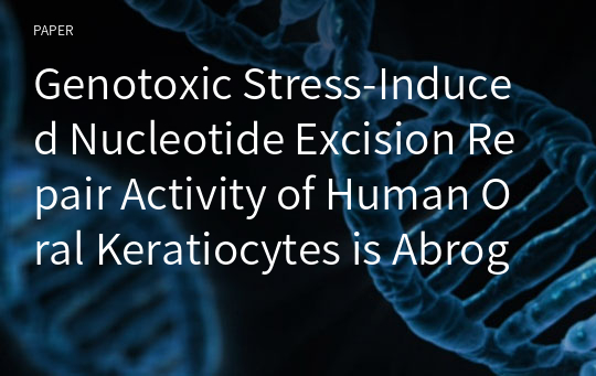 Genotoxic Stress-Induced Nucleotide Excision Repair Activity of Human Oral Keratiocytes is Abrogated by &quot;High Risk&quot; Human Papillomavirus: Role of p53