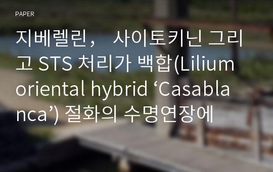 지베렐린， 사이토키닌 그리고 STS 처리가 백합(Lilium oriental hybrid ‘Casablanca’) 절화의 수명연장에 미치는 영향