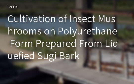 Cultivation of Insect Mushrooms on Polyurethane Form Prepared From Liquefied Sugi Bark