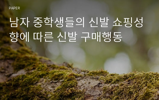 남자 중학생들의 신발 쇼핑성향에 따른 신발 구매행동