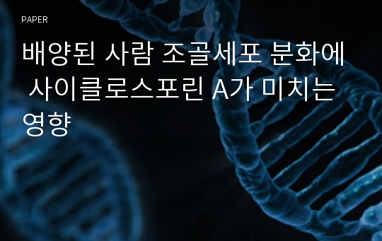 배양된 사람 조골세포 분화에 사이클로스포린 A가 미치는 영향