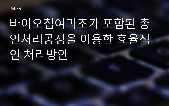 바이오칩여과조가 포함된 총인처리공정을 이용한 효율적인 처리방안