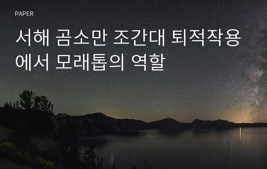 서해 곰소만 조간대 퇴적작용에서 모래톱의 역할