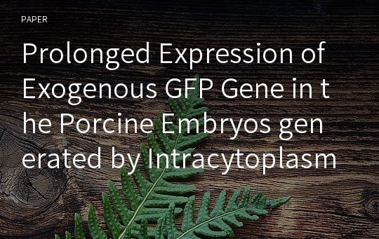 Prolonged Expression of Exogenous GFP Gene in the Porcine Embryos generated by Intracytoplasmic Sperm Injection-Mediated Gene Transfer