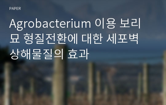 Agrobacterium 이용 보리묘 형질전환에 대한 세포벽 상해물질의 효과