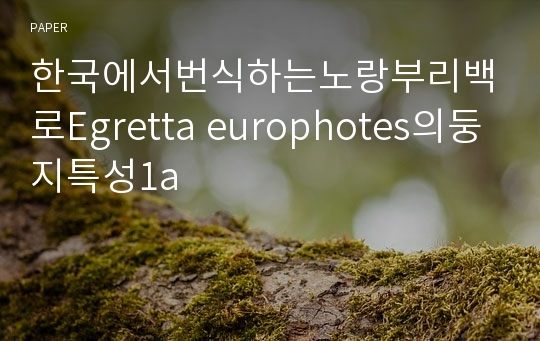 한국에서번식하는노랑부리백로Egretta europhotes의둥지특성