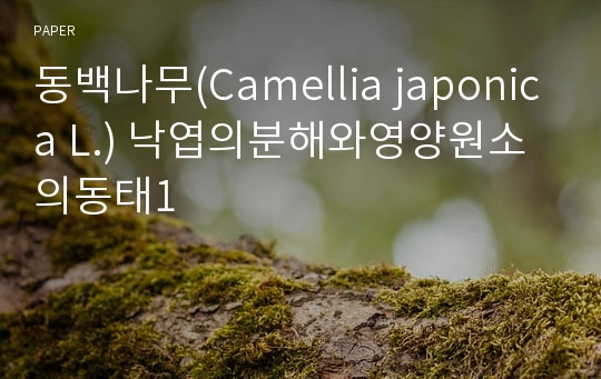 동백나무(Camellia japonica L.) 낙엽의분해와영양원소의동태1